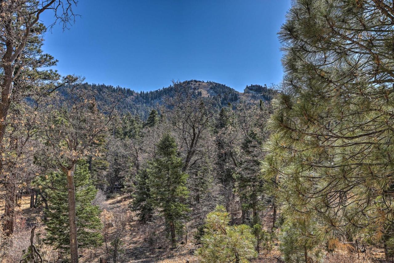 Chocolate Moose Cabin Short Walk To Slopes Villa Big Bear Lake Ngoại thất bức ảnh