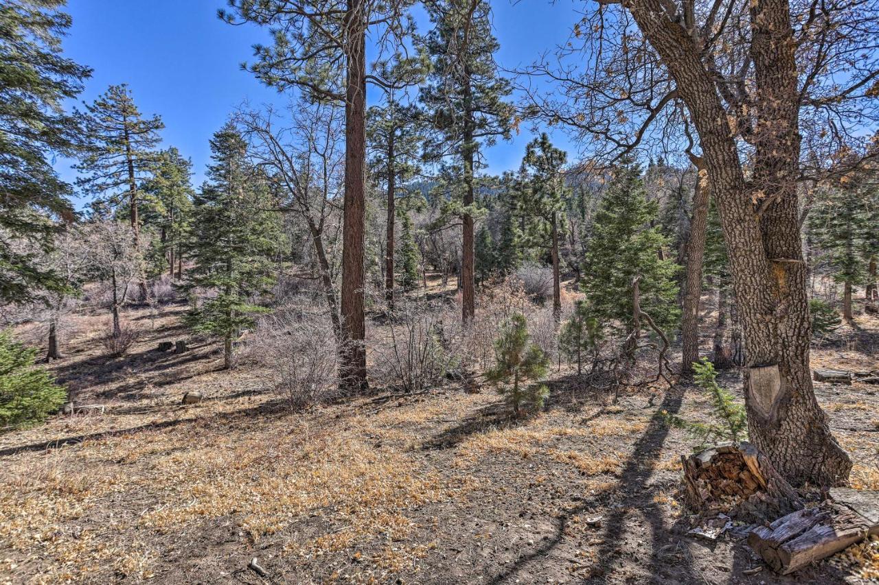 Chocolate Moose Cabin Short Walk To Slopes Villa Big Bear Lake Ngoại thất bức ảnh