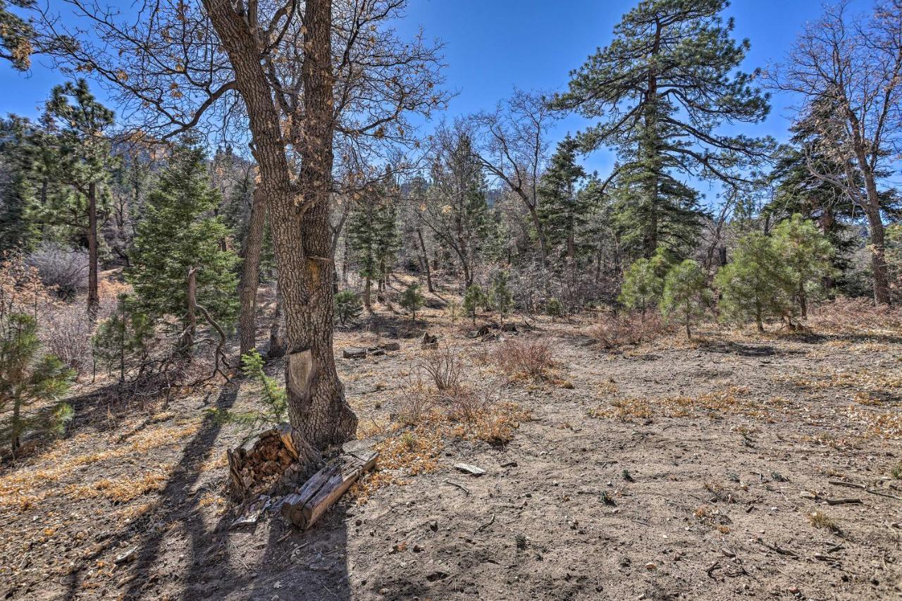 Chocolate Moose Cabin Short Walk To Slopes Villa Big Bear Lake Ngoại thất bức ảnh